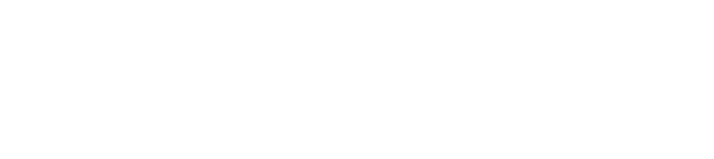 European Union logo